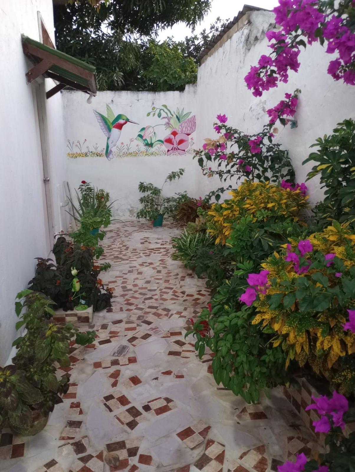 Hospedaje Casa Pachi En Cartagena De Indias Luaran gambar